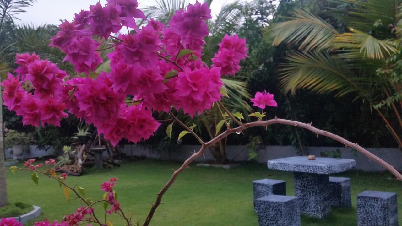 Dhammika Magic Palace 瓦都瓦 外观 照片